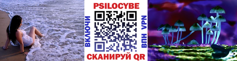 OMG tor  Рыбное  Псилоцибиновые грибы ЛСД 